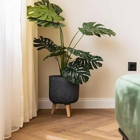 Apartment Olive Designer *