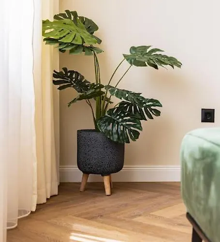 Apartment Olive Designer *